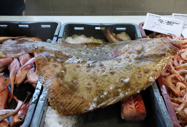 Šibenik: Ponuda ribe i ostalih morskih delicija