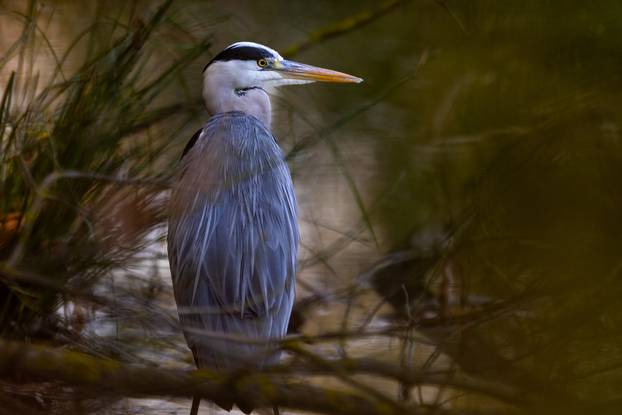 TOP 100 fotografija u 2024. godini
 