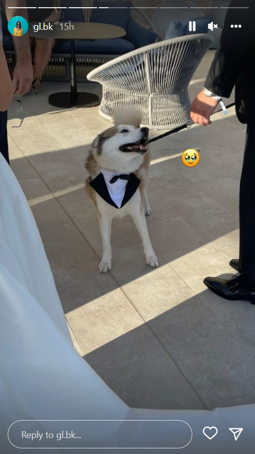 Livakoviću na svadbi pjevali Matić i Grašo, stigli su poznati, a gosti su uživali uz vatromet