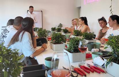 Želite naučiti oblikovati bonsai? Besplatna radionica bit će na Ekotlonu - evo kako se prijaviti