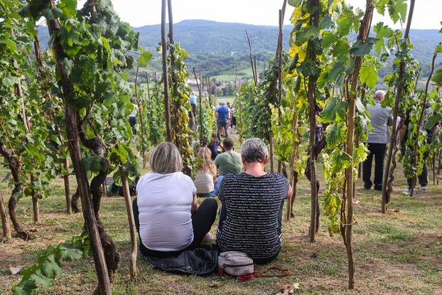 Gornja Stubica: Održan 28. Susret za Rudija