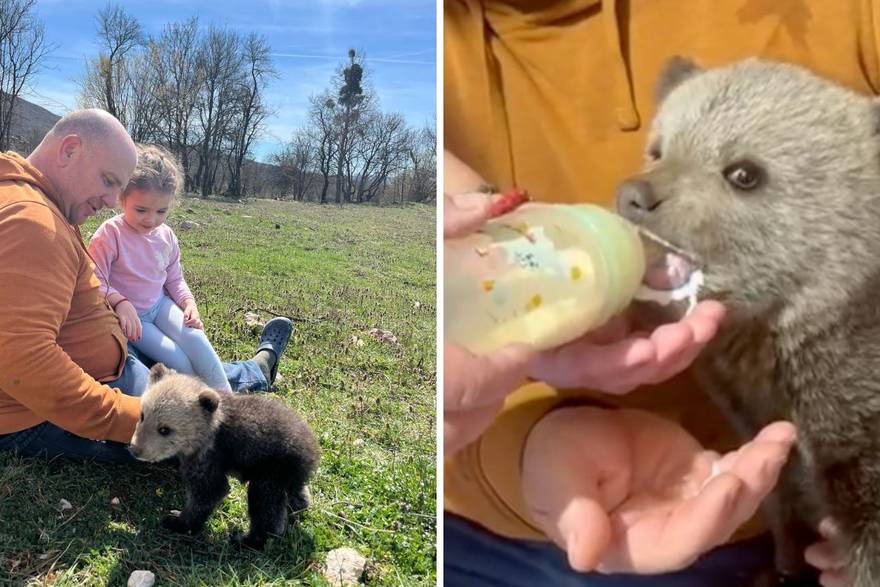 &Ccaron;udo kraj Gospi&cacute;a! 'Na Uskrs do&dstrok;e zeko, a nama je u&scaron;etao beba medo! Spasili smo ga'
