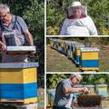 Hercegovački pčelari: Pčelinji otrov ćemo prodavati u Europi, za kilu se dobije i 20.000 eura