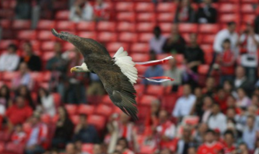 Benfica odbila AEK: Ništa od najbizarnije posudbe u povijesti