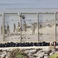 Pet europskih zemalja tra&zcaron;i dogovor za slanje migranata izvan EU-a:  Nisu otkrili gdje...