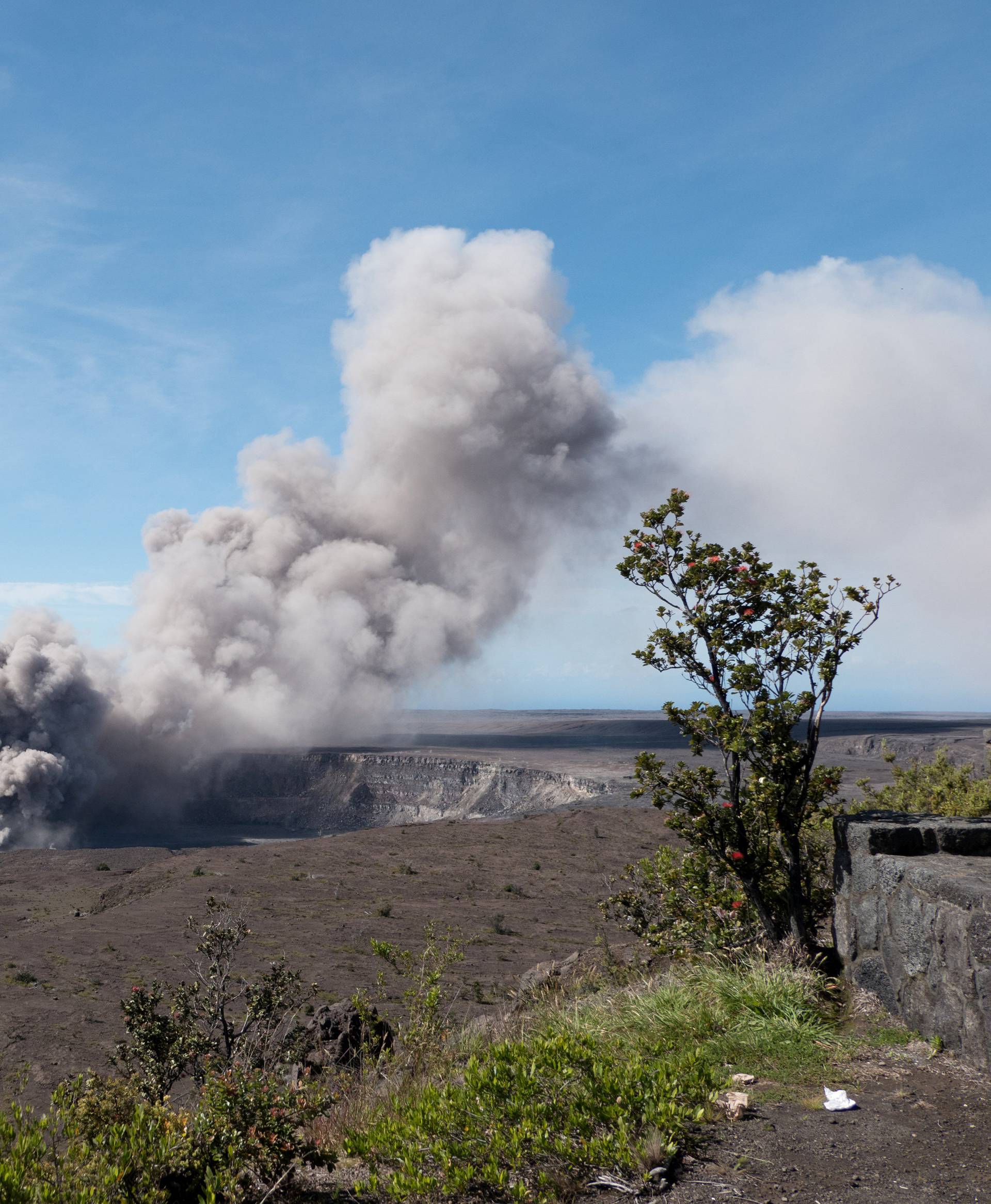 Handout photo of an ash plume rising from the Overlook Vent in Halema'uma'u crater in Hawaii