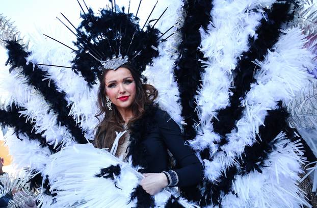 Samobor: Povorka mjesnih odbora i alegorijskih kola na Fašniku