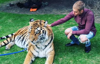 Naljutio  sve: Bieber na tatinoj zabavi mazio zavezanog tigra