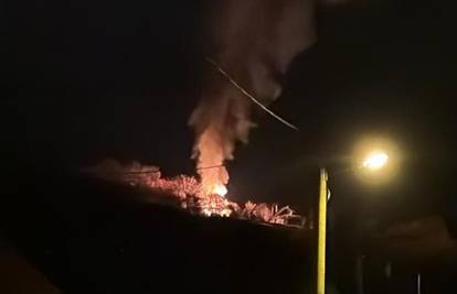 Požar blizu Vile Okrugljak u Zagrebu: Izgorio drveni objekt, vatrogasci spasili životinje!