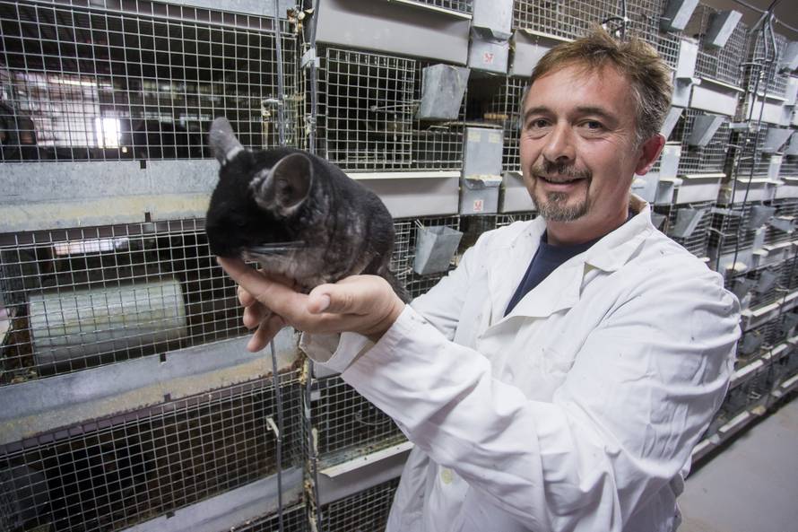 Uzgajali činčile, nojeve, smilje: Uložili su milijune i sve izgubili