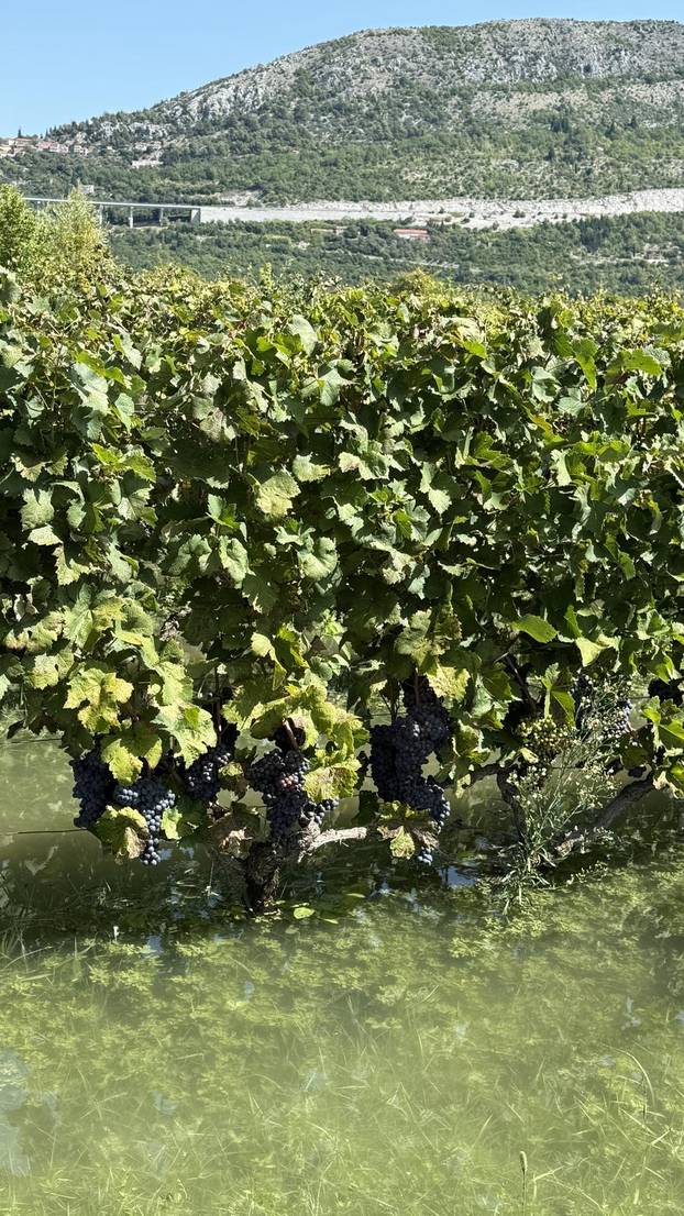 Vrgorac: Posljedice obilnih kiša na području općine Pojezere