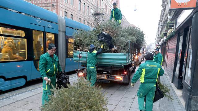 Zagreb: Počeo odvoz odbačenih borova