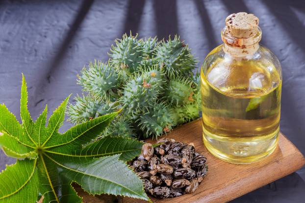 beans and castor oil on the black table