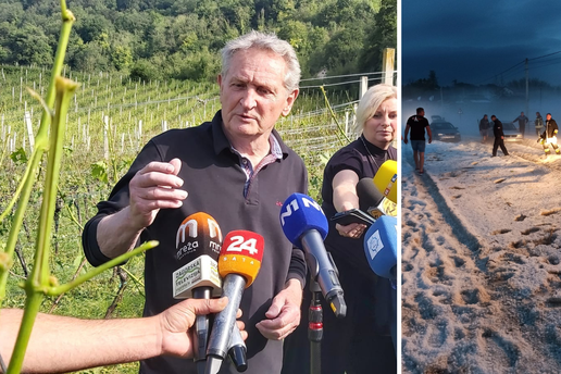 Vinogradar iz Klanjca: Šteta je 100 posto. Ovo je kataklizma i osiguranje to ne može pokriti