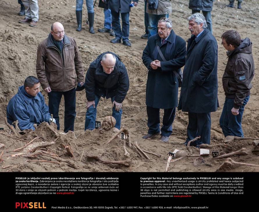 Grgo Jelavić/PIXSELL