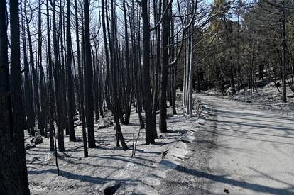 FOTO Pogledajte pustoš koju je veliki požar ostavio na Biokovu