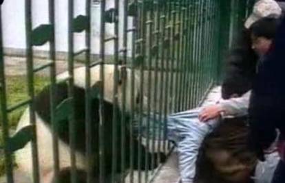 Kina: Panda skinula jaknu čovjeku kroz rešetke 