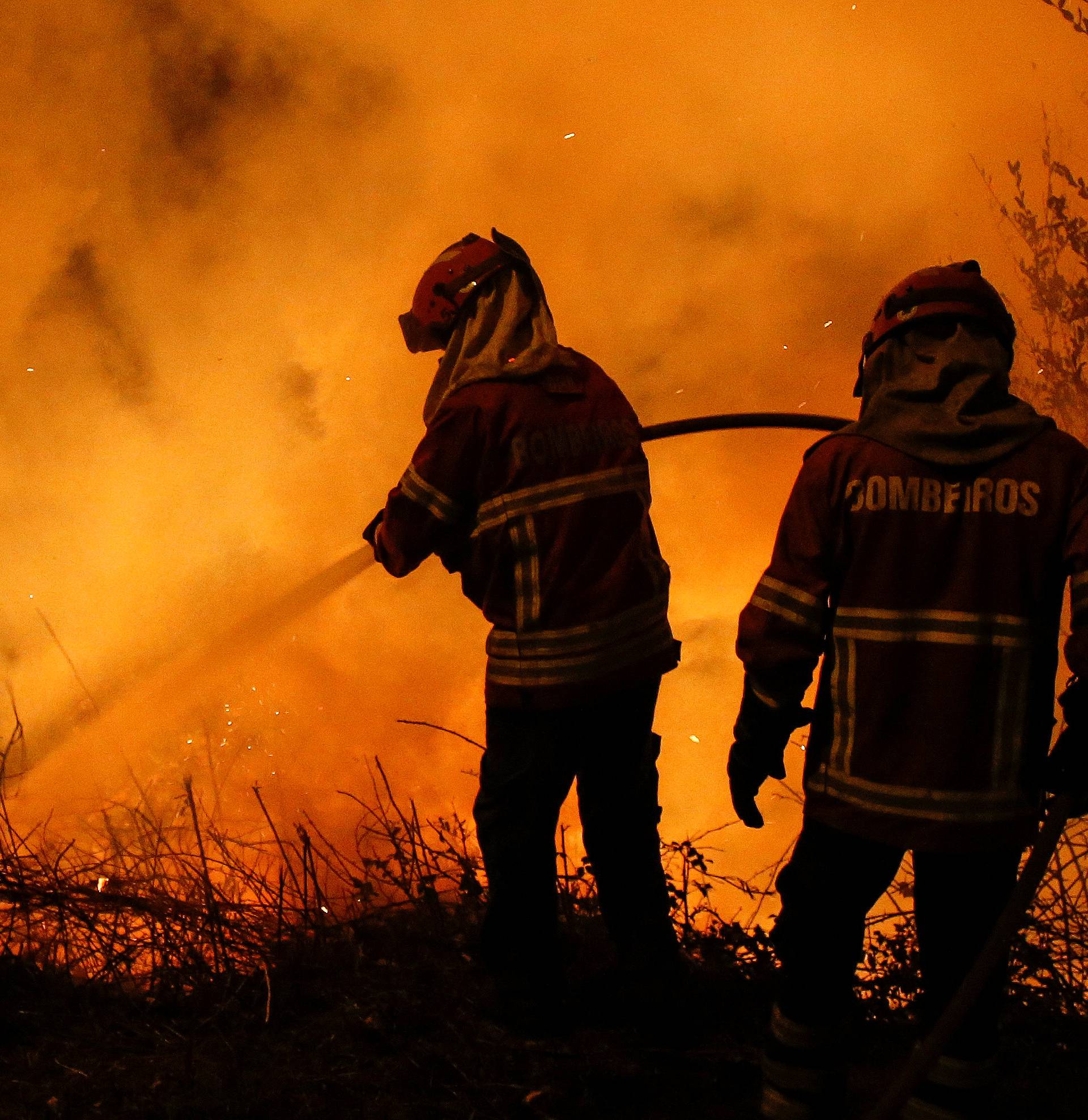 Firefighters work to extinguish flames from a forest fire in Cabanoes near Lousa
