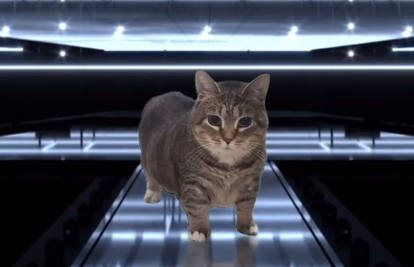 Eurosong videom na društvenim mrežama začudio obožavatelje: 'Ček, dolazi li to Baby Lasagna?'