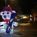 VIDEO Tisućama lampica su ukrasili središte grada i najavili simpatičan božićni program