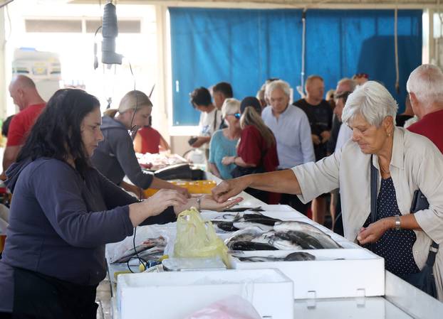 Šibenik: Ponuda ribe na ribarnici