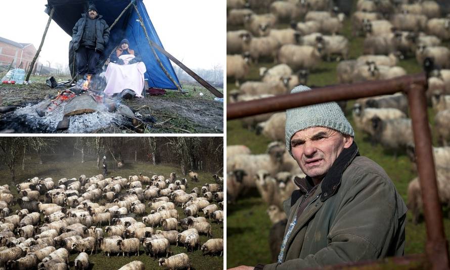 'Kuća mi je ostala čitava, a ovce su se uznemirile prije potresa'