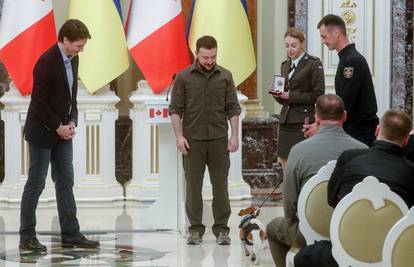 Zelenski je odlikovao Patrona, psa tragača za minama: Otkrio je više od 200 eksploziva