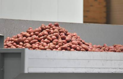 Vlada nestašica krumpira! Sve je manje i uvoznog, a mogli bi ga plaćati i do 15 centi više