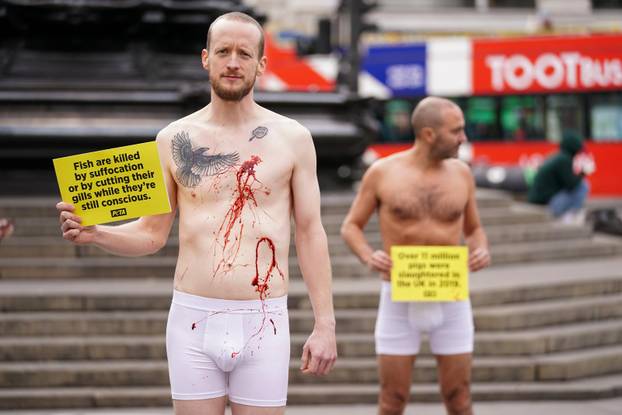 PETA protest