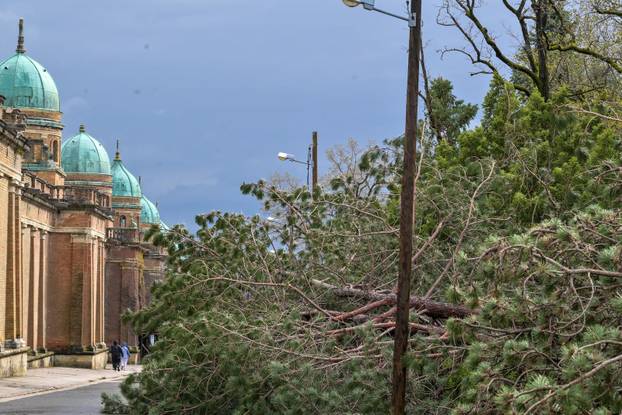 Zagreb: U nevremenu teško  oštećeno gradsko groblje Mirogoj