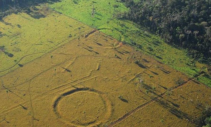 Nevjerojatno otkriće: Prašuma je stoljećima čuvala ovu tajnu...