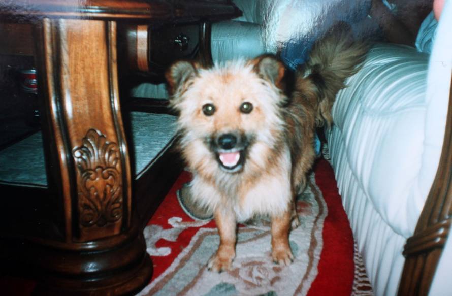 Hajrudin Merdanović