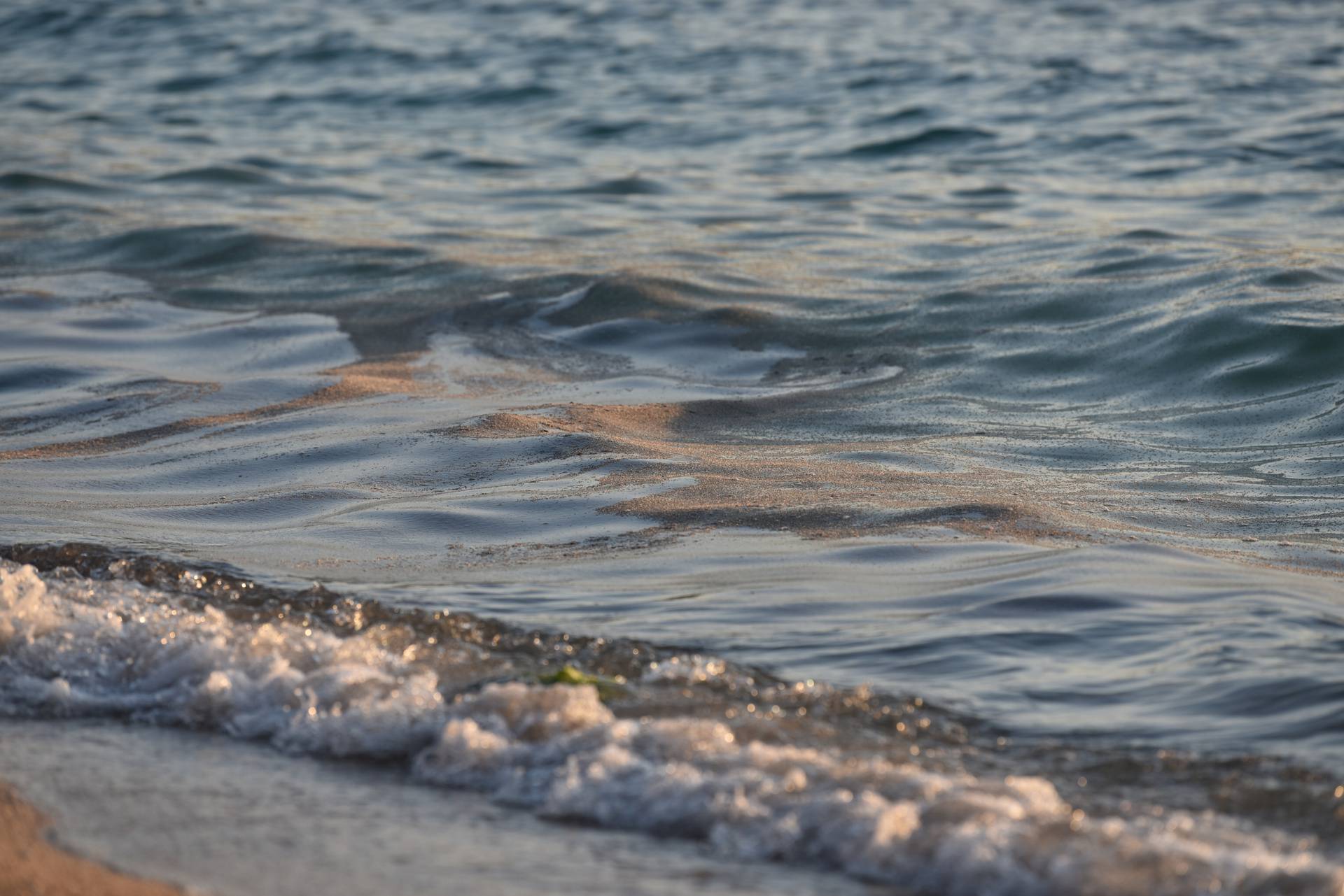 Mušice preplavile more na plaži Donja Luka u Makarskoj