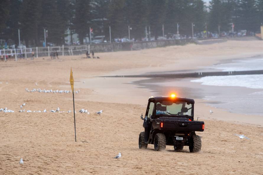 Shark attack in Manly