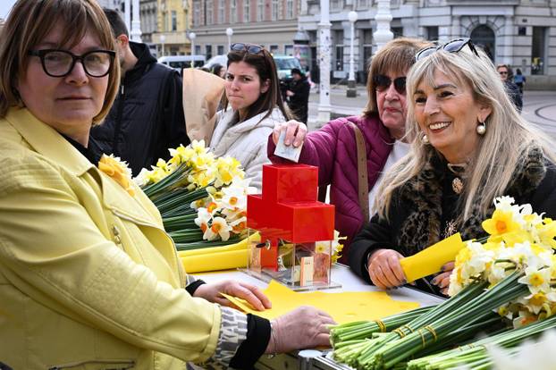 Zagreb: Obilježavanje jubilarnog 30. Dana narcisa