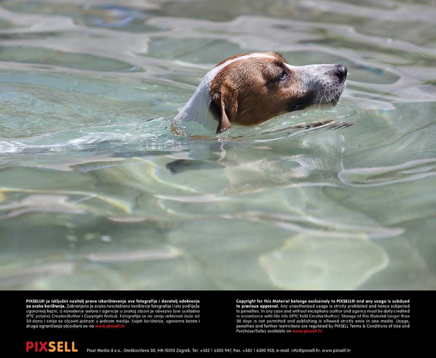 Davor Puklavec/PIXSELL