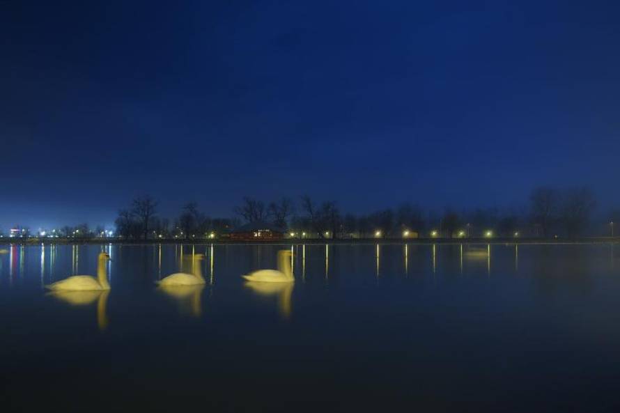 Borna Filić/Pixsell