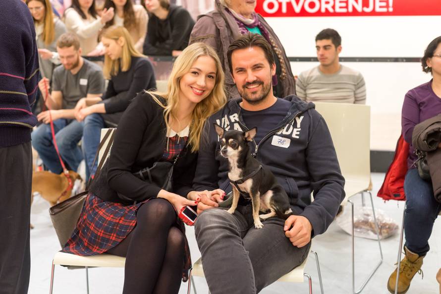 Traži se glavna njuška Westgatea! Prijavite ljubimca