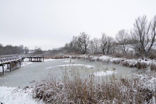 Kopački rit: Zimska idila u Baranji 