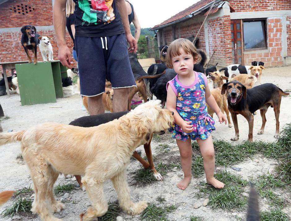 Anima Dvor: 'Fali nam pseće hrane i materijala za gradnju'