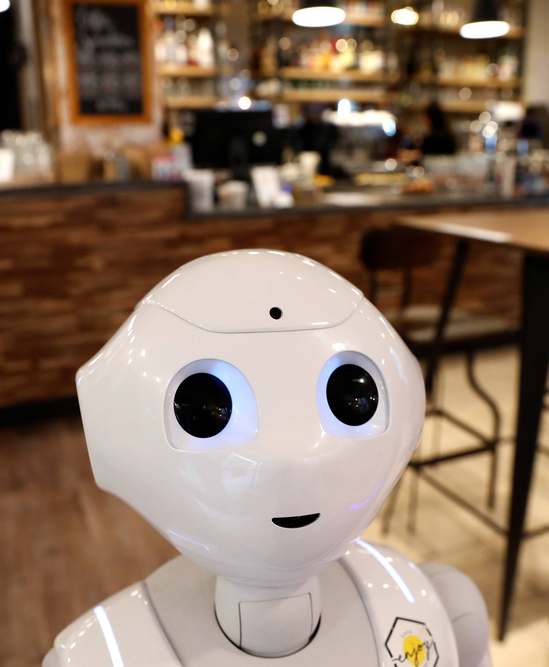 Pepper the robot is seen at a cafe in Budapest