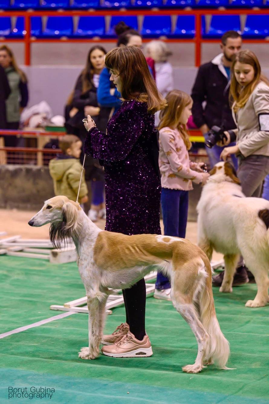 Kaja je dijete-anđeo, ali ima i svoje anđele čuvare s kojima osvaja srca na izložbama pasa!