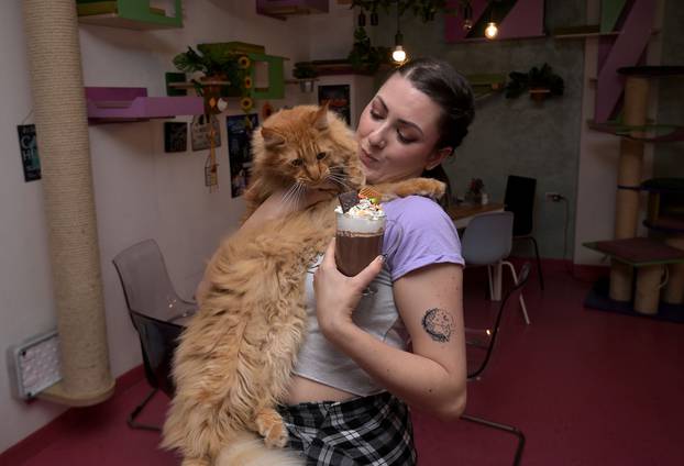 Zagreb: Jesenski topli napitak u Cat cafeu