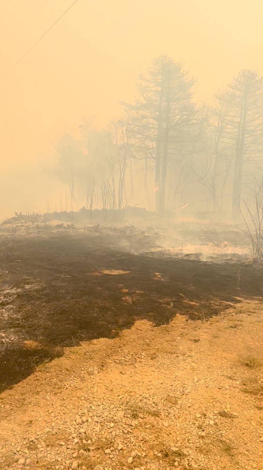 Wildfire in Slovenia