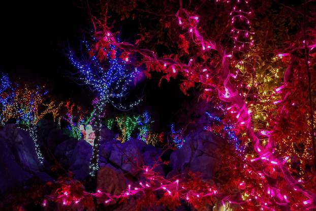 Otvaranje Božićnog sela u Docu Gornjem