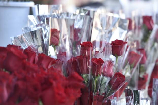 Šibenik: Kupovina cvijeća povodom Međunarodnog dana Žena