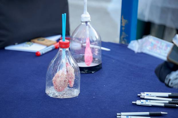 Zadar: Počela je manifestacija Europska noć istraživača u Zadru