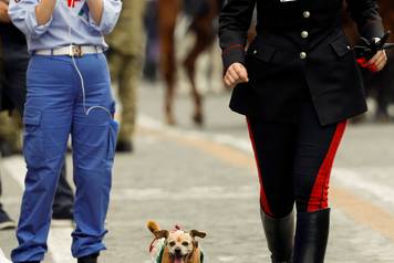 Military parade on the Republic Day in Rome
