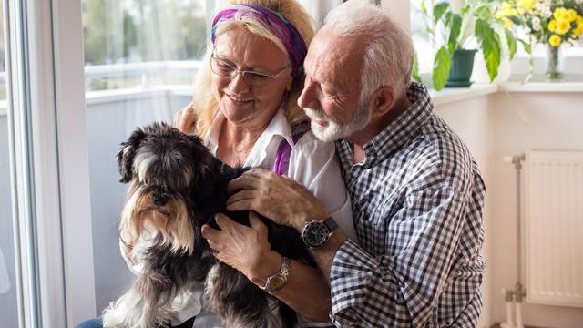 Hrvatske stručnjakinje: Pas uz odgovarajuću terapiju i dobru rehabilitaciju može dulje živjeti