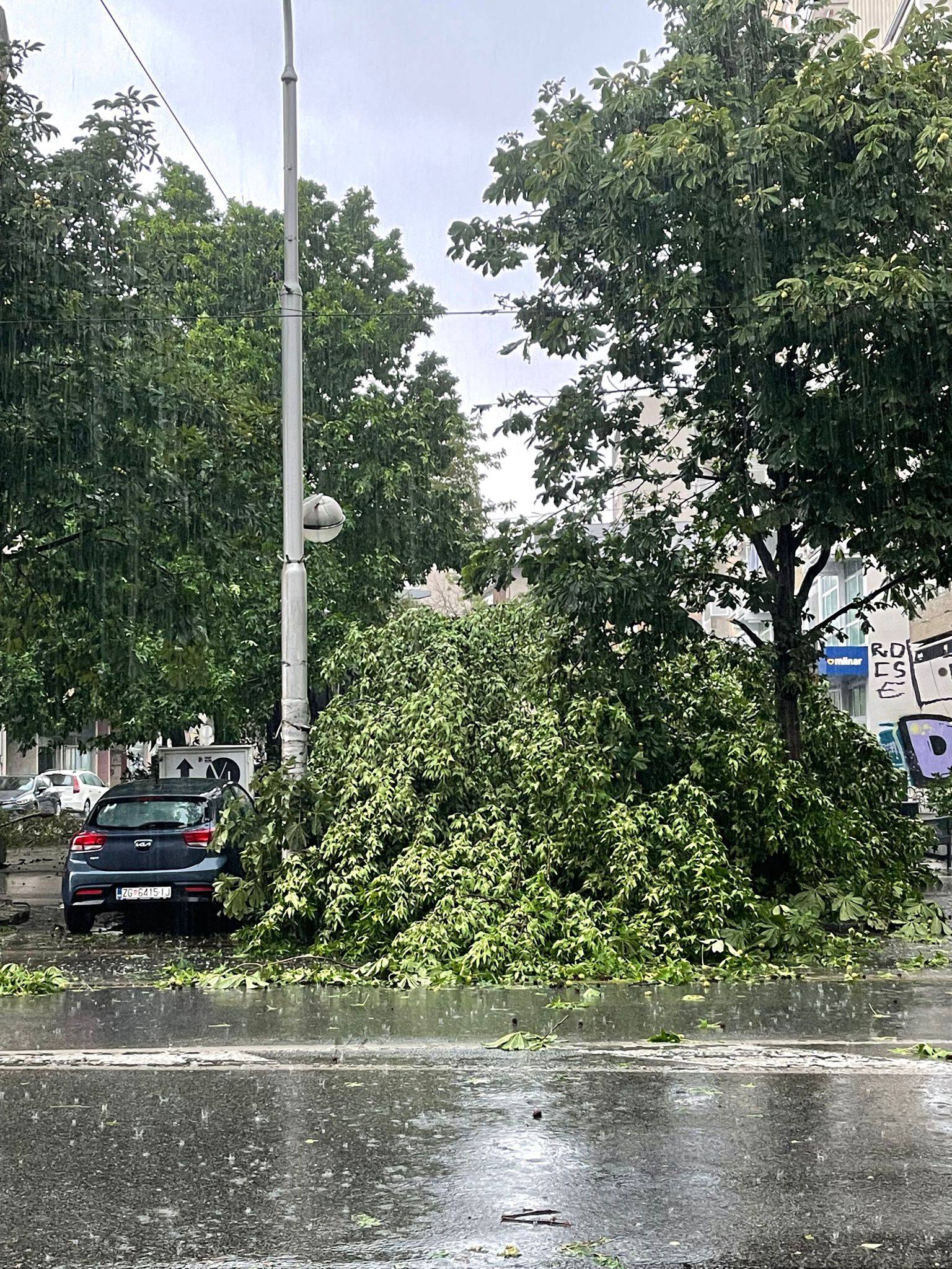 VIDEO Kaos u Maksimirskoj ulici zbog nevremena, oluja je trgala stabla i zaustavila promet